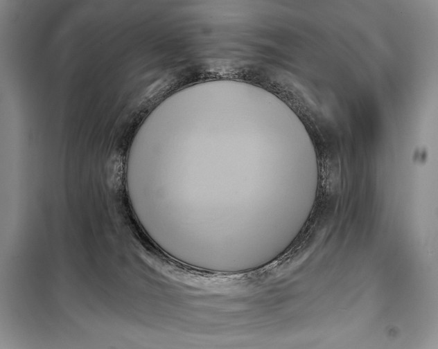 X0000098050036200804111323