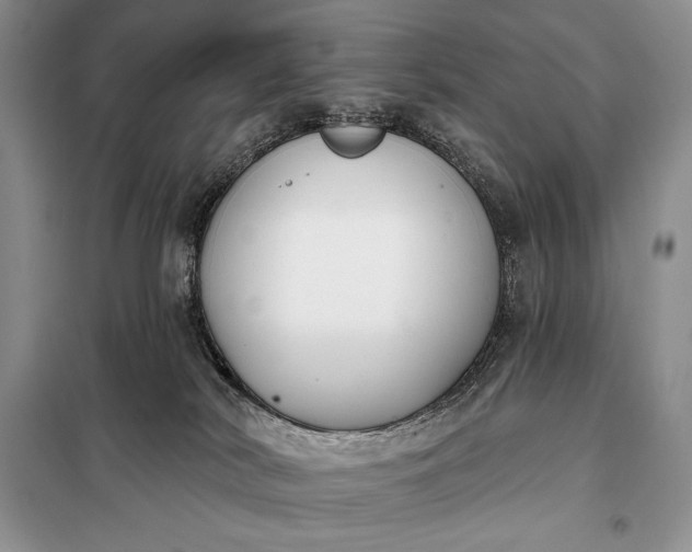 X0000098050038200804111323