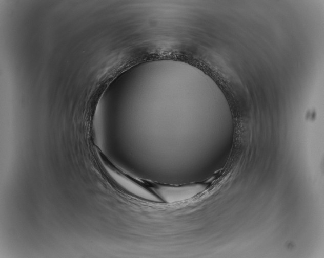 X0000098050039200804111323