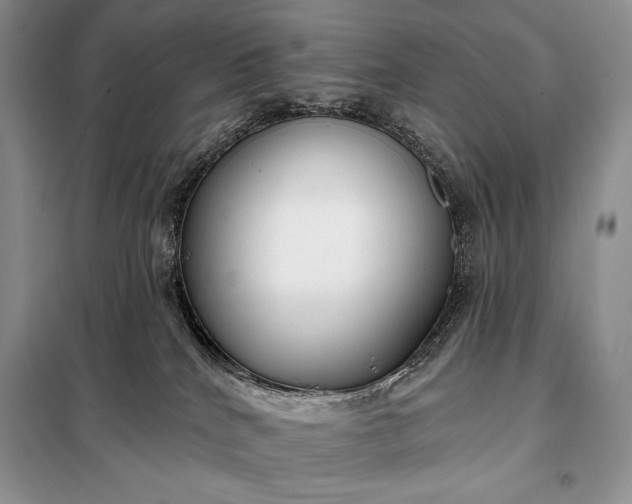 X0000098050040200804111323