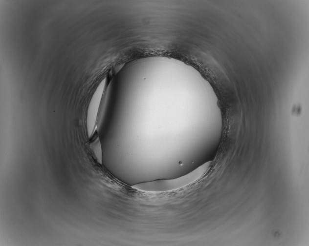 X0000098050041200804111323