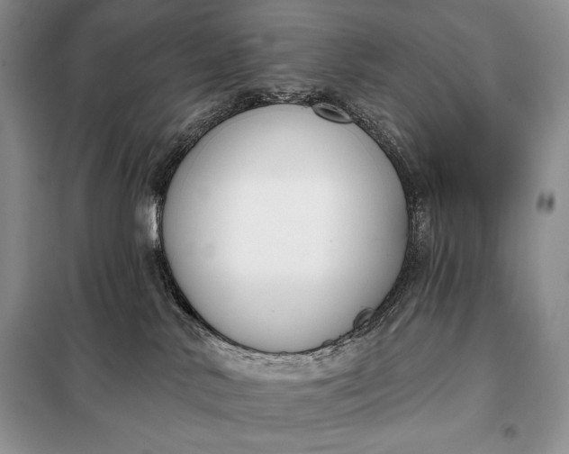 X0000098050042200804111323