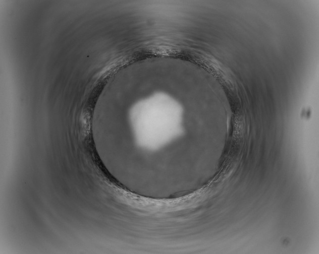 X0000098050043200804111323