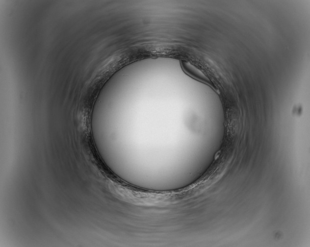 X0000098050044200804111323