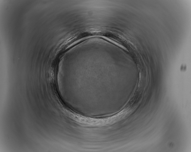 X0000098050048200804111323