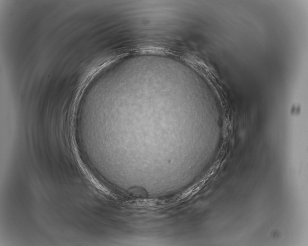 X0000098050049200804111322