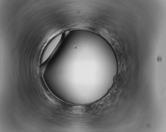 X0000098050050200804111322