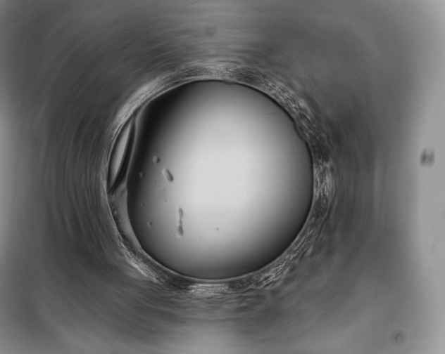 X0000098050051200804111322