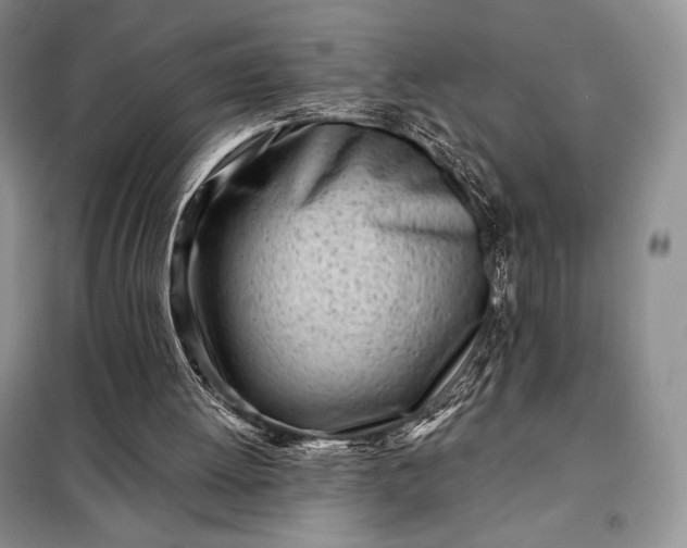 X0000098050052200804111322