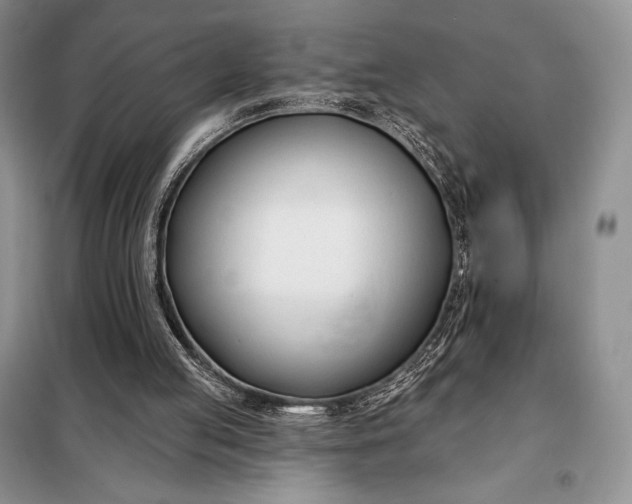 X0000098050053200804111322