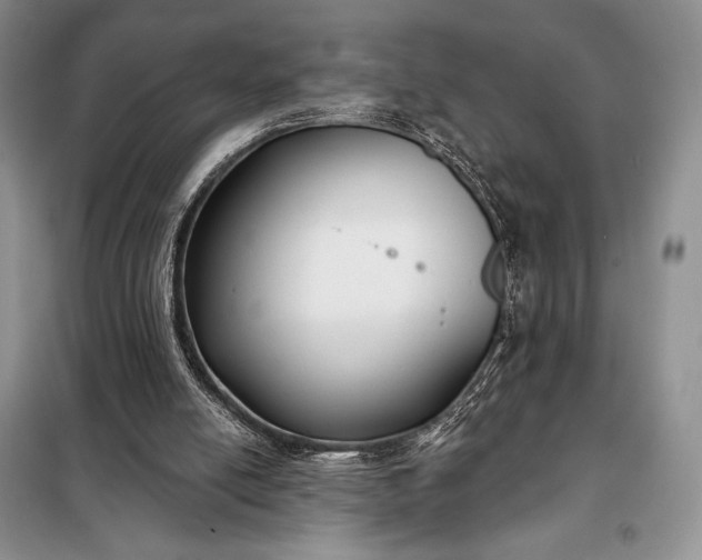 X0000098050054200804111322