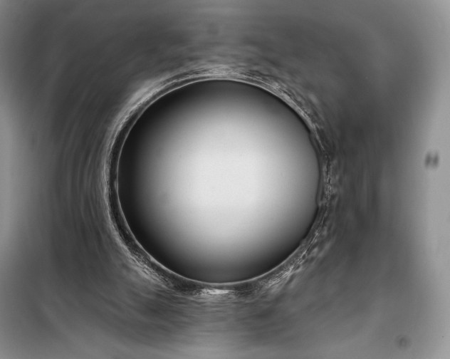 X0000098050055200804111322