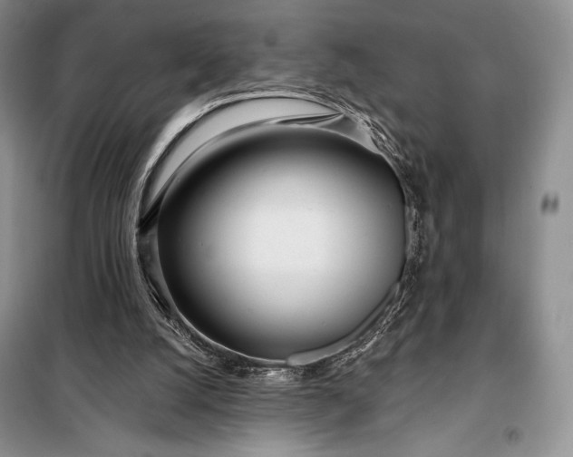 X0000098050056200804111322