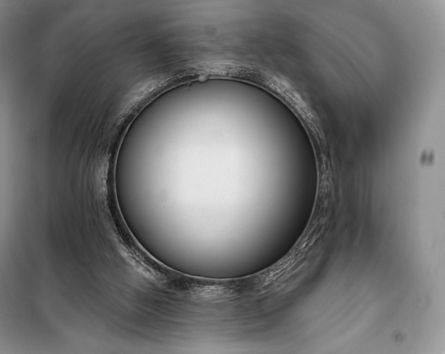 X0000098050058200804111322