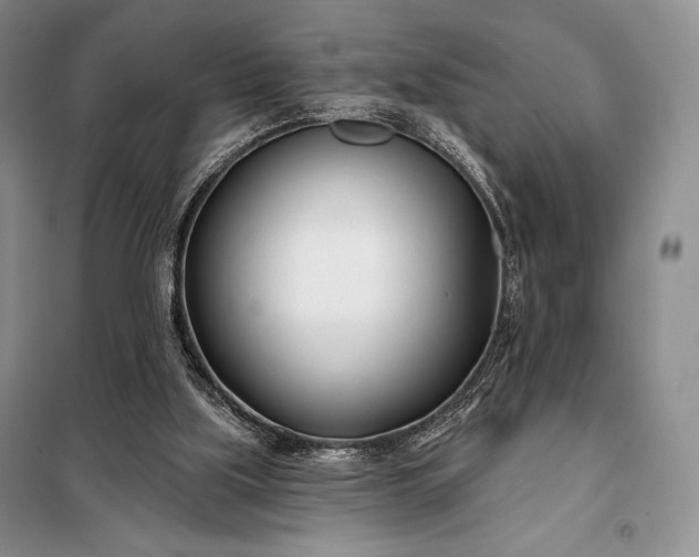 X0000098050059200804111323