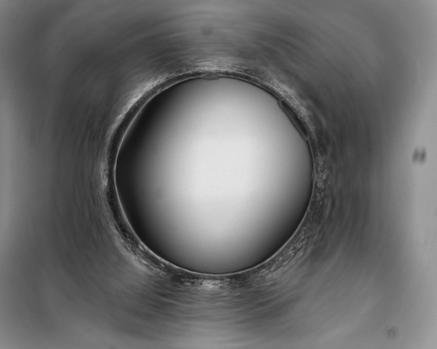 X0000098050060200804111323