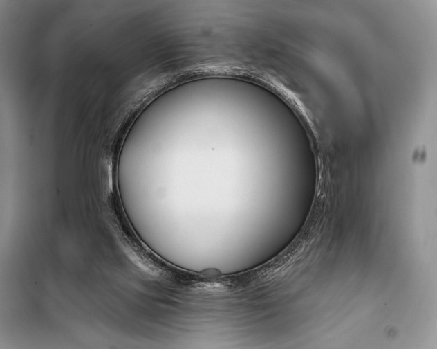 X0000098050061200804111323