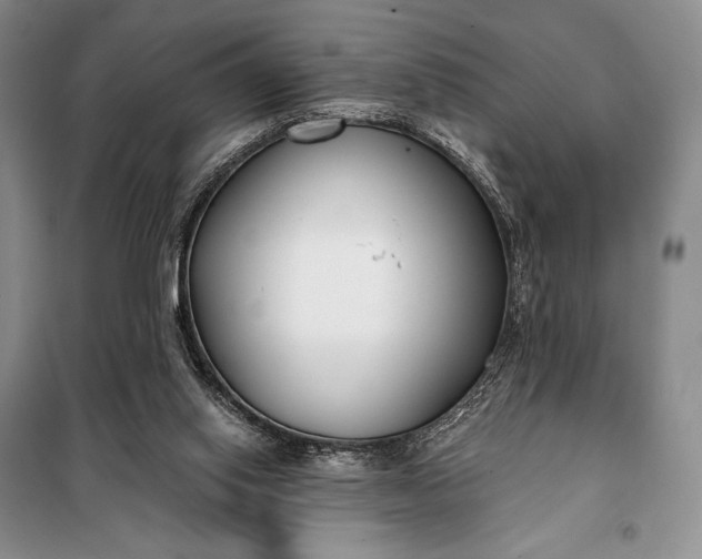 X0000098050062200804111323