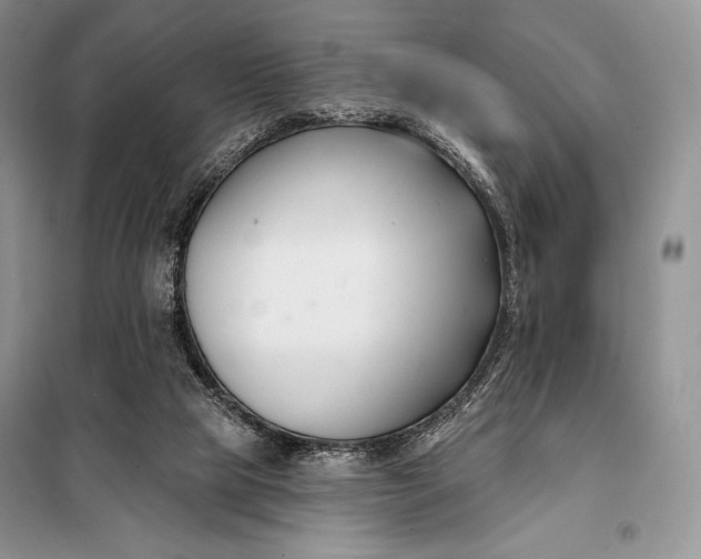 X0000098050065200804111323