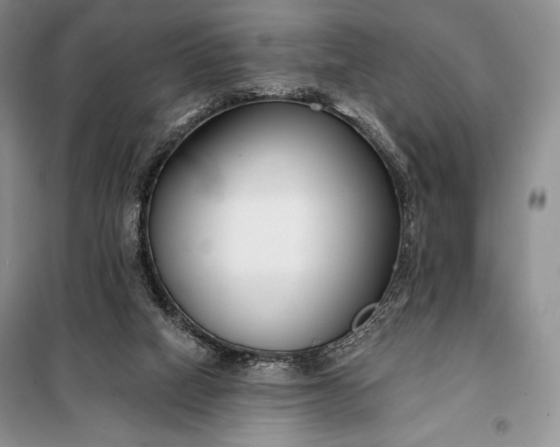 X0000098050066200804111323