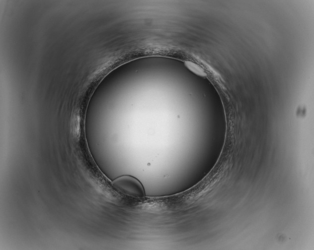 X0000098050067200804111323