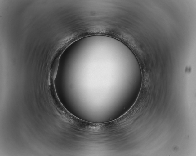 X0000098050068200804111323