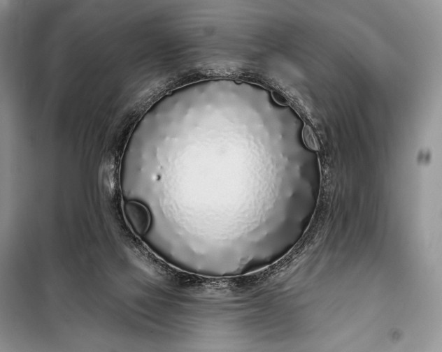 X0000098050069200804111323