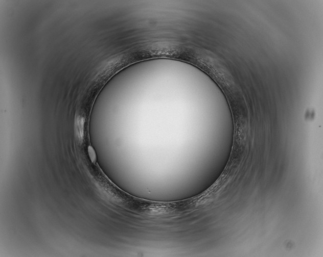 X0000098050070200804111323