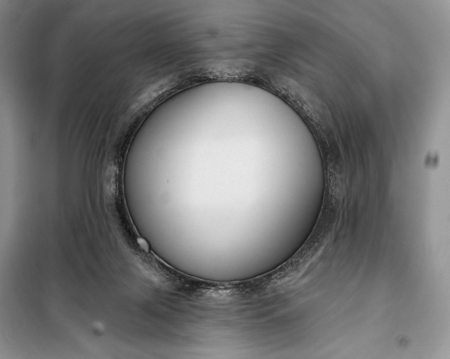 X0000098050071200804111323