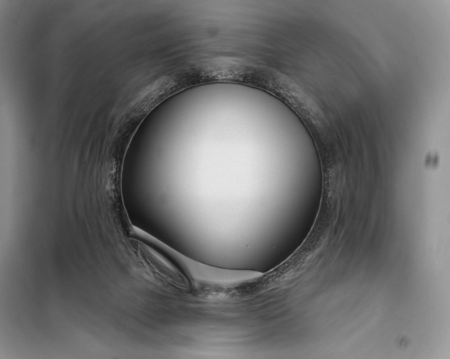 X0000098050073200804111323