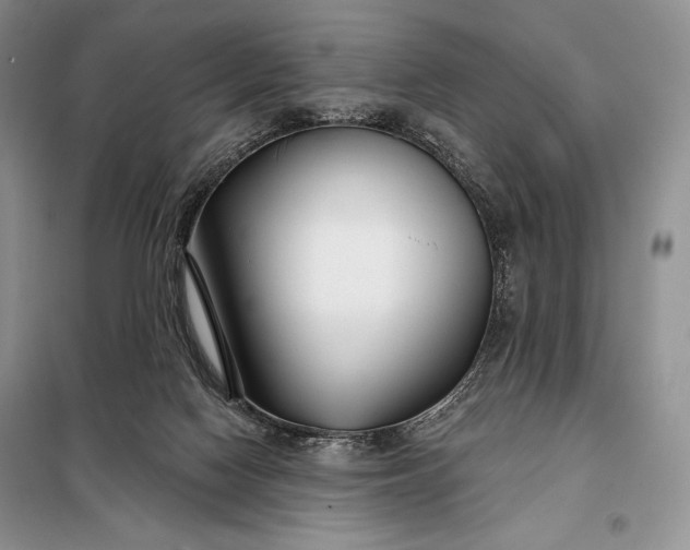 X0000098050074200804111323