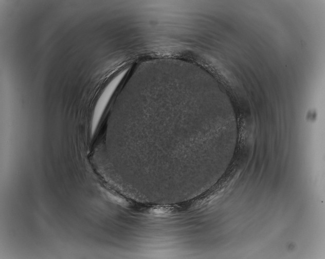 X0000098050076200804111323