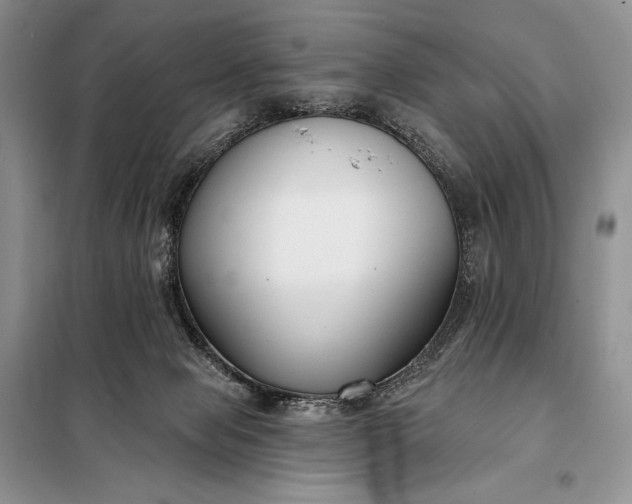 X0000098050077200804111323