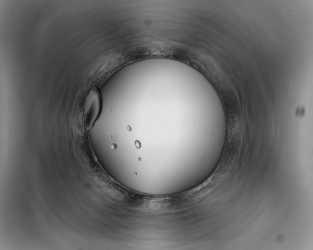 X0000098050078200804111323