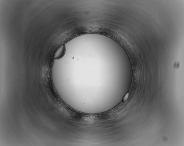 X0000098050079200804111323