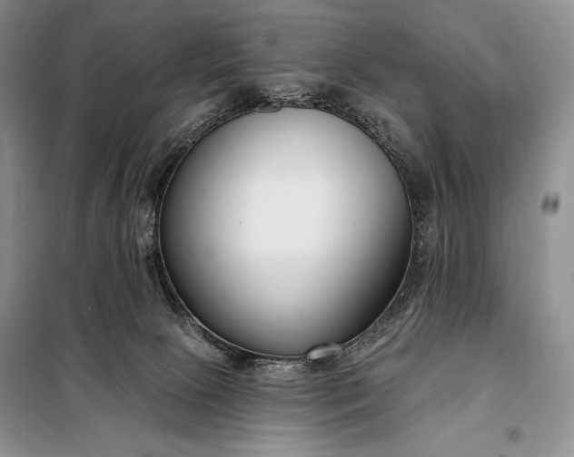 X0000098050081200804111323