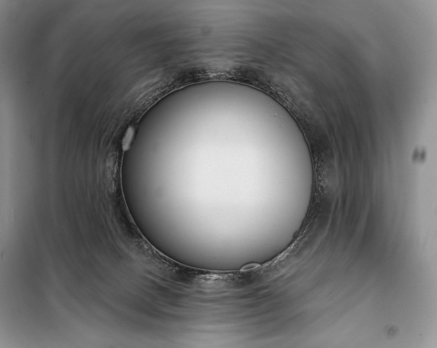 X0000098050082200804111323