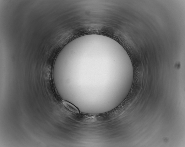 X0000098050083200804111323