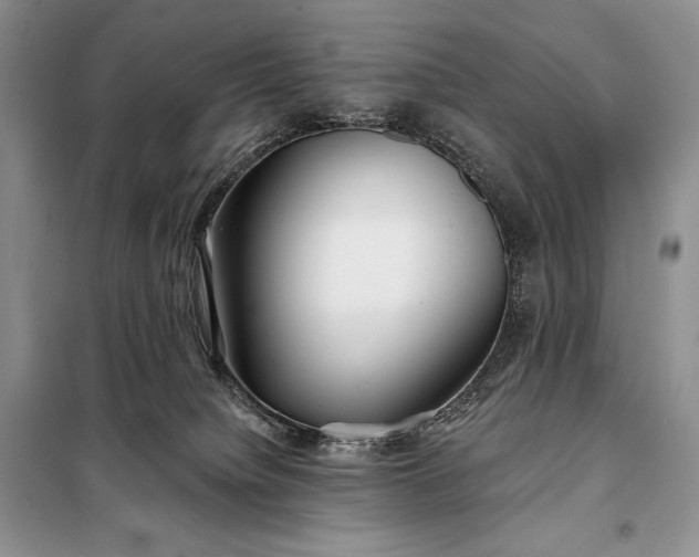 X0000098050084200804111323