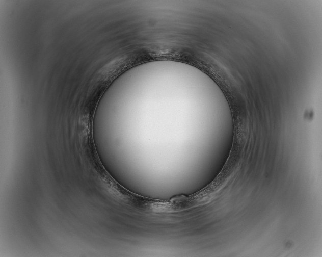 X0000098050085200804111323