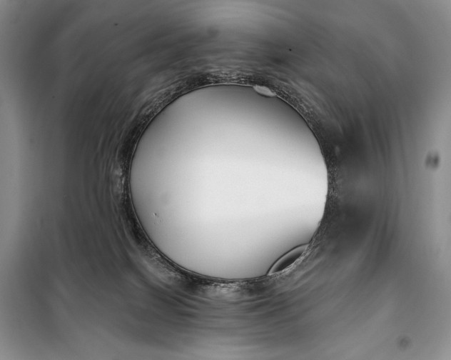 X0000098050086200804111323