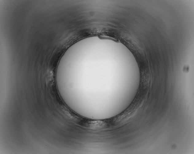 X0000098050087200804111323