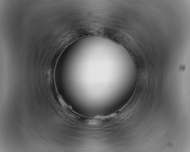 X0000098050088200804111323