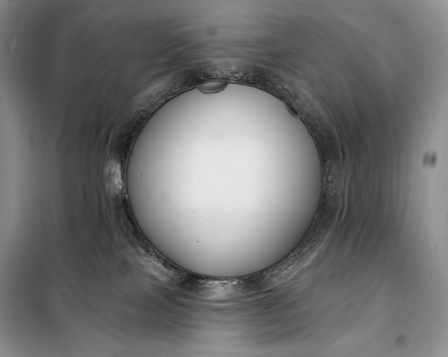 X0000098050089200804111323