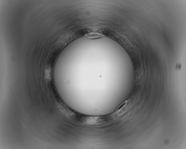 X0000098050090200804111323