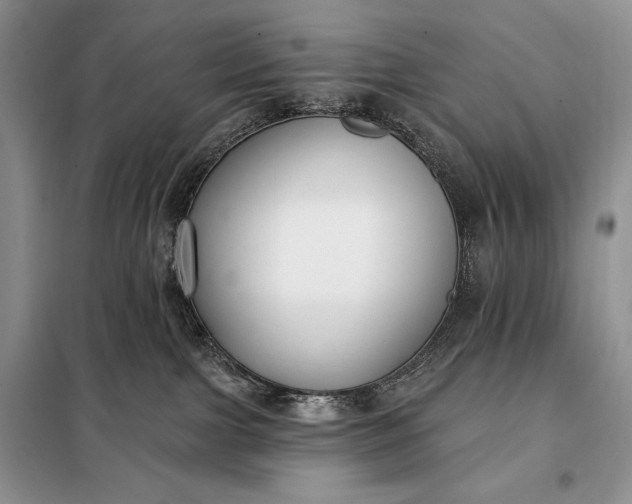 X0000098050091200804111323