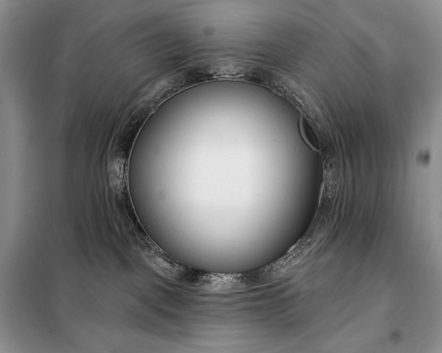 X0000098050093200804111323