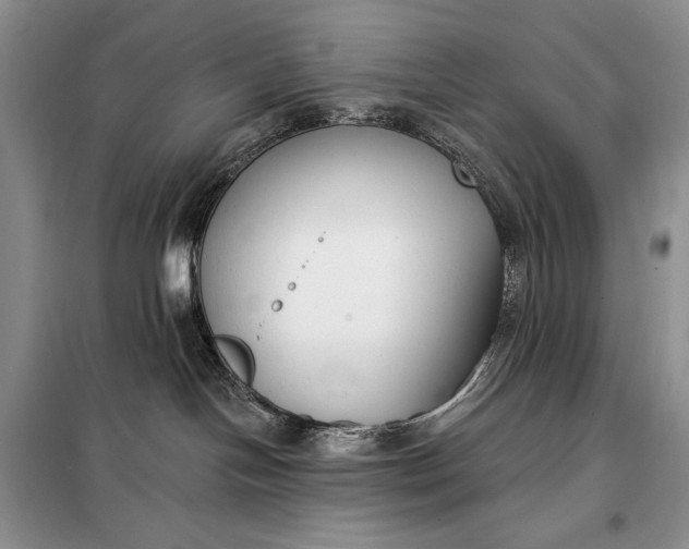 X0000098050094200804111323