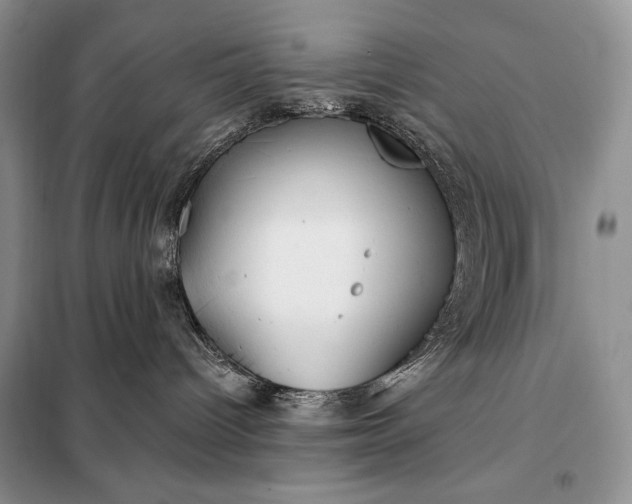 X0000098050096200804111323