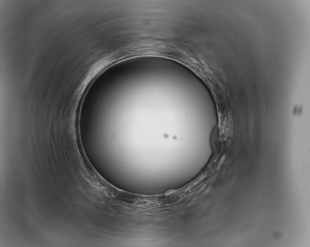 X0000098050099200804111322